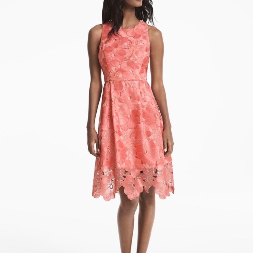 White House Black Market Gelato Peach‎ Pink Lace Lined Dress Size 4
